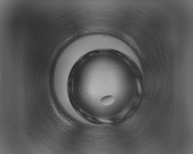 X0000070170538200605301328