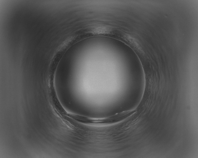 X0000070170539200605301328