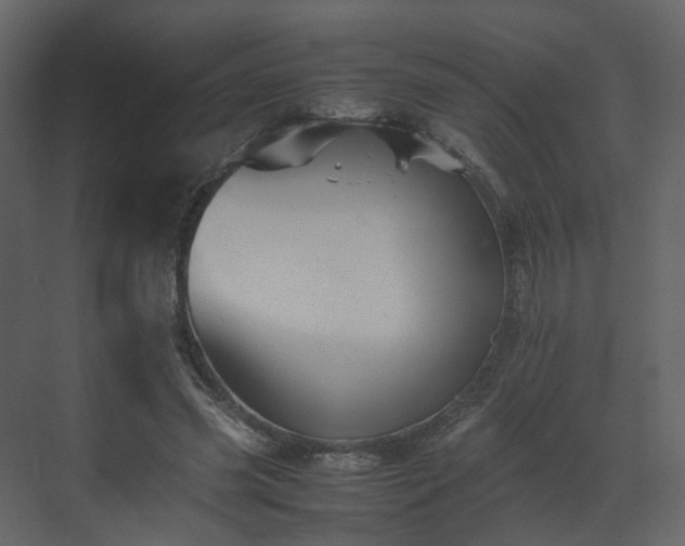 X0000070170541200605301328