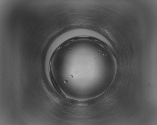 X0000070170543200605301328