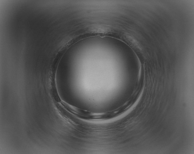 X0000070170544200605301328