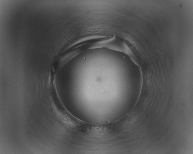 X0000070170546200605301328