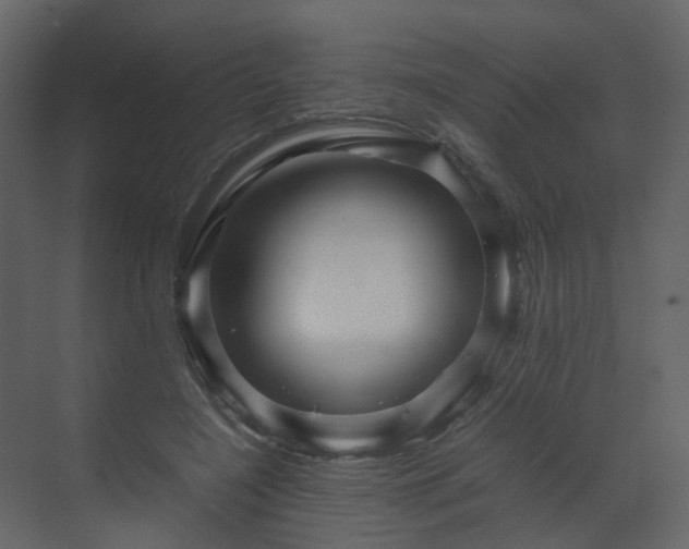 X0000070170548200605301328