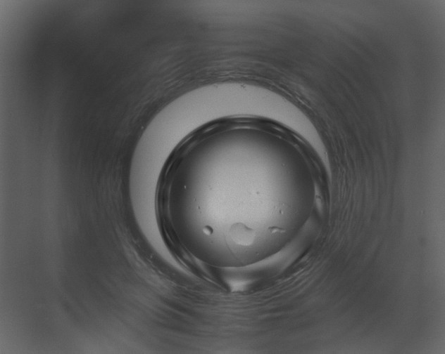 X0000070170551200605301328