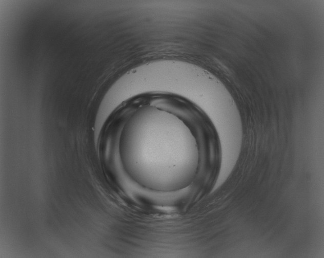 X0000070170552200605301328