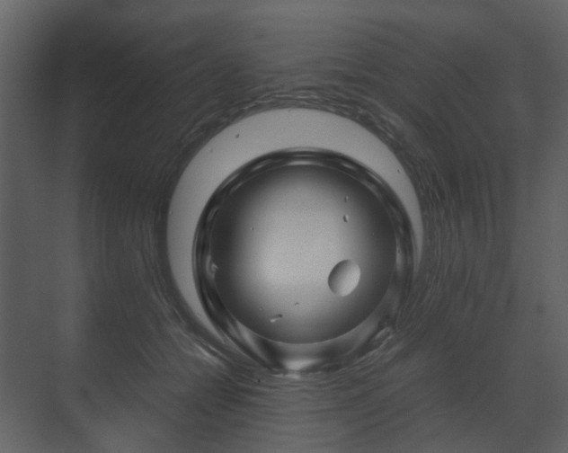 X0000070170558200605301328