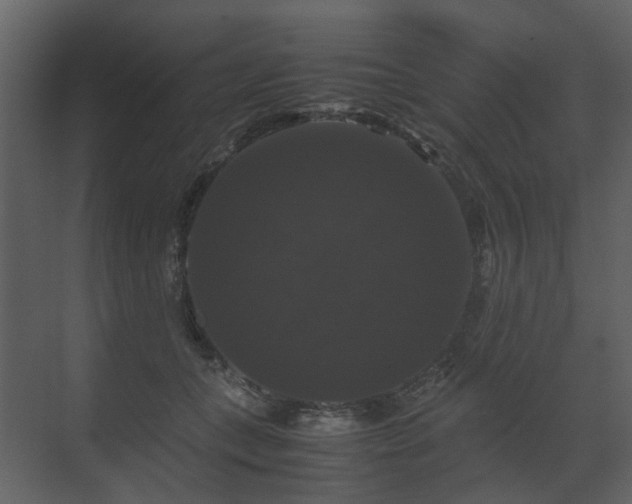 X0000070170559200605301328