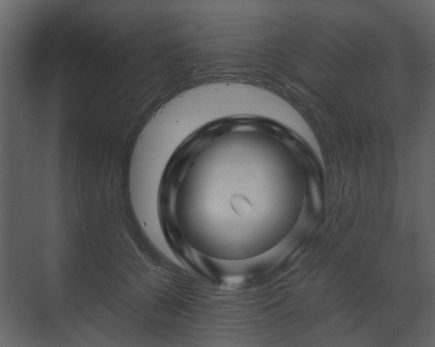 X0000070170560200605301328