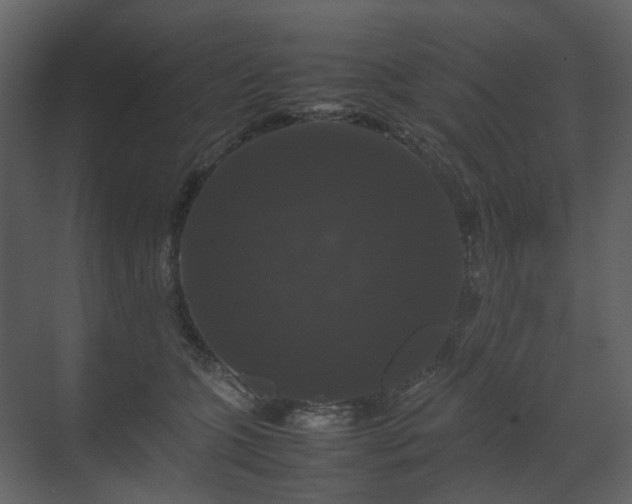X0000070170563200605301328