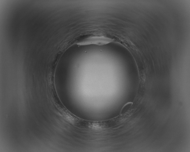 X0000070170565200605301328