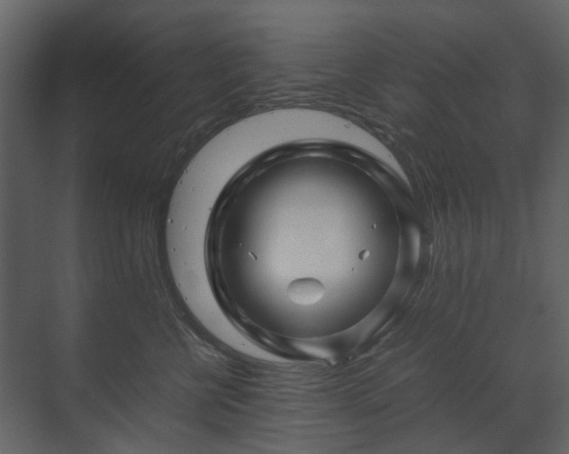 X0000070170570200605301328