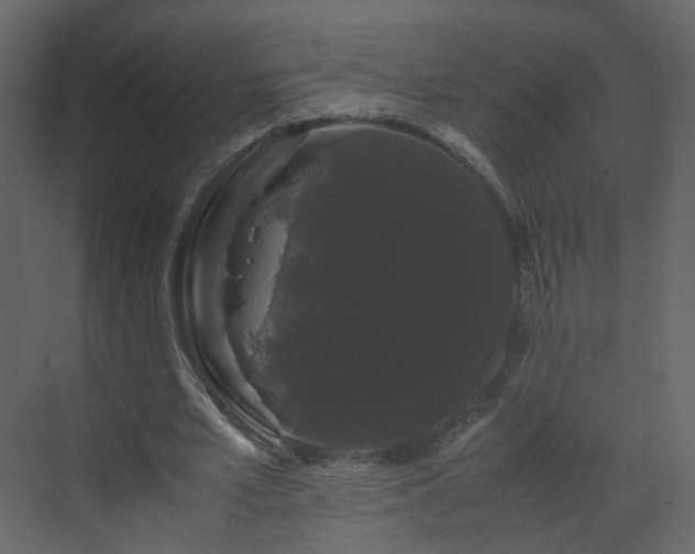 X0000070170581200605301328