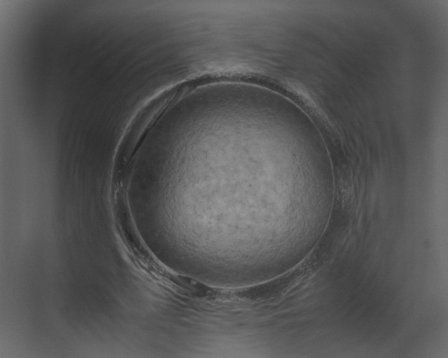 X0000070170583200605301328