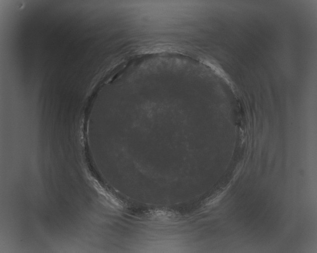 X0000070170585200605301327