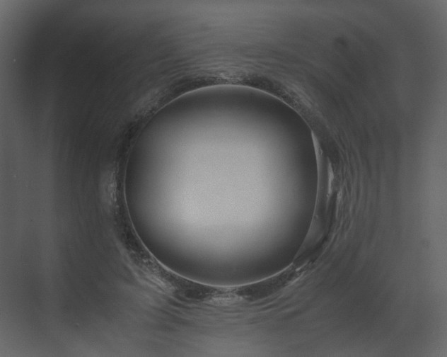 X0000070170595200605301327