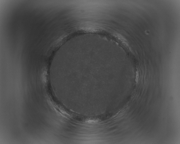 X0000070170596200605301327
