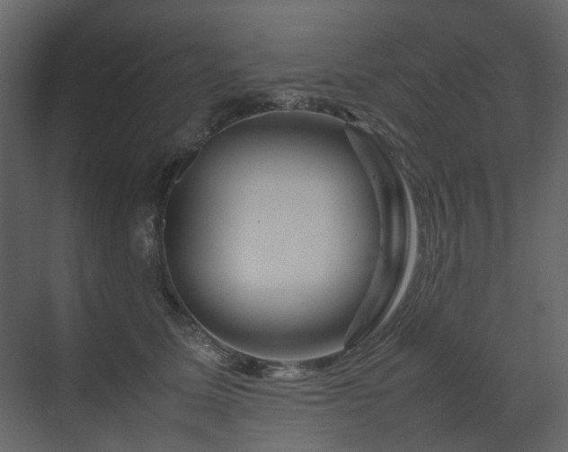 X0000070170611200605301327