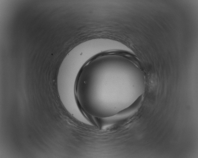 X0000070170619200605301327