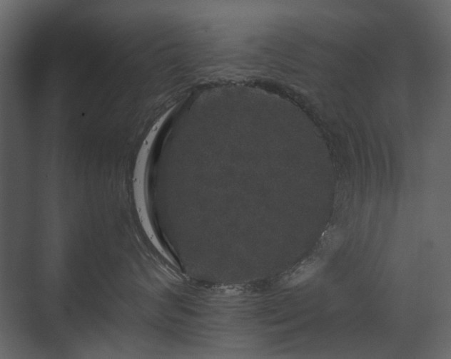 X0000070170624200605301327