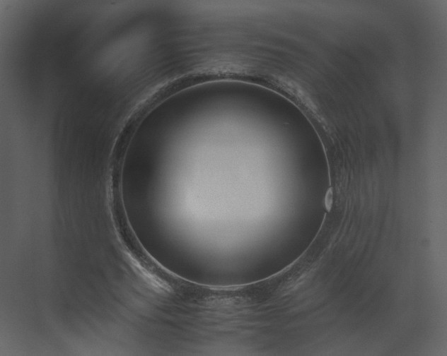 X0000070170629200605301326