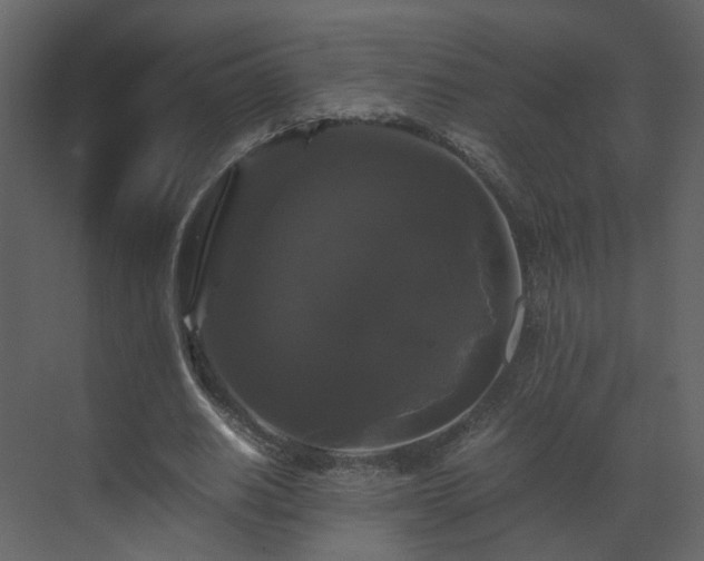 X0000070170630200605301326