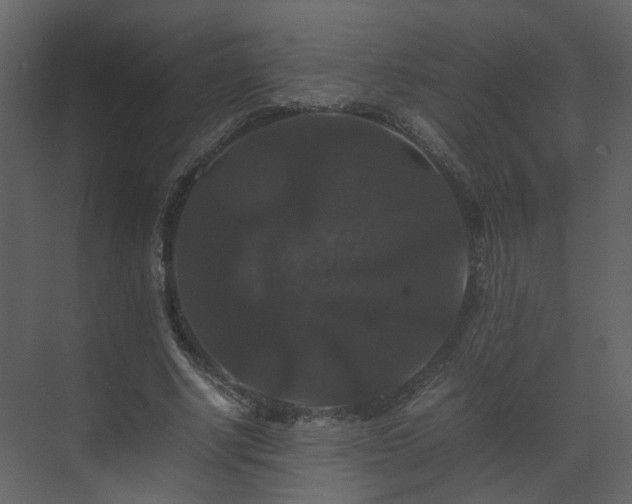 X0000070170634200605301326