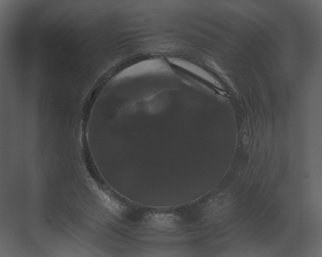 X0000070170637200605301326