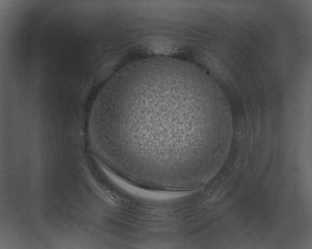X0000070170639200605301326