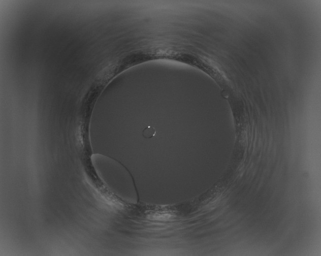X0000070170643200605301326