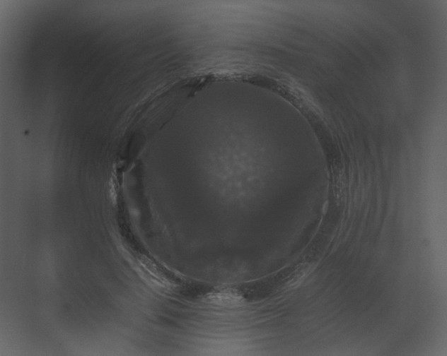 X0000070170644200605301326