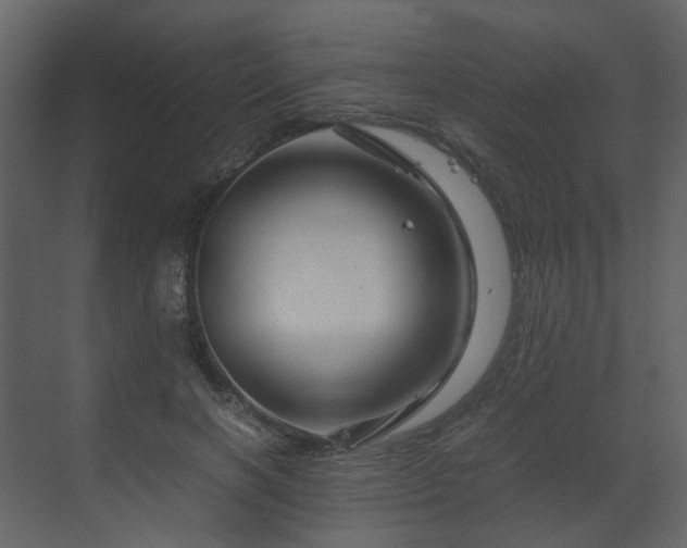 X0000070170646200605301326