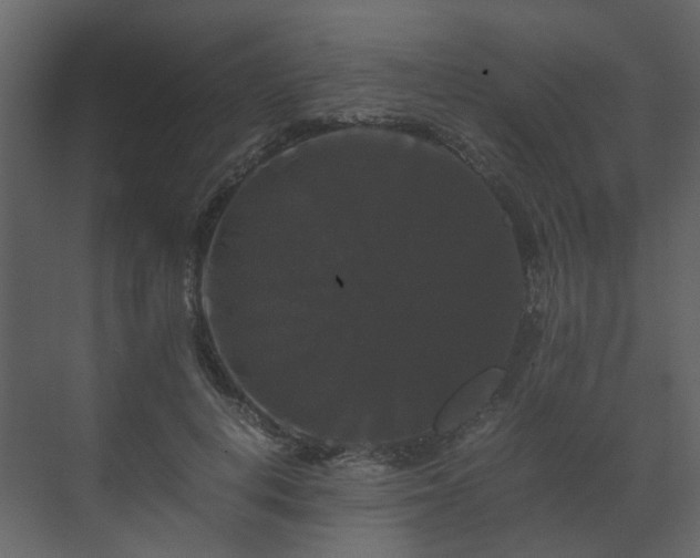 X0000070170648200605301326