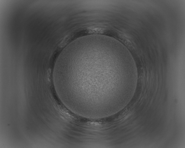 X0000070170649200605301326