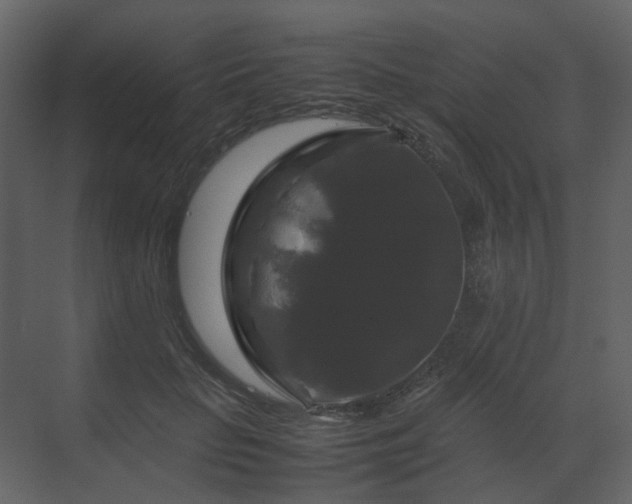 X0000070170653200605301326