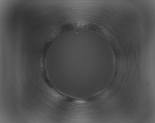 X0000070170654200605301326