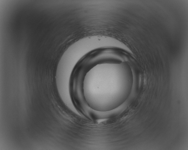 X0000070170656200605301327
