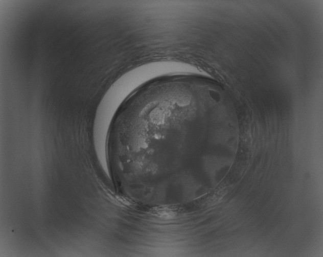 X0000070170658200605301327
