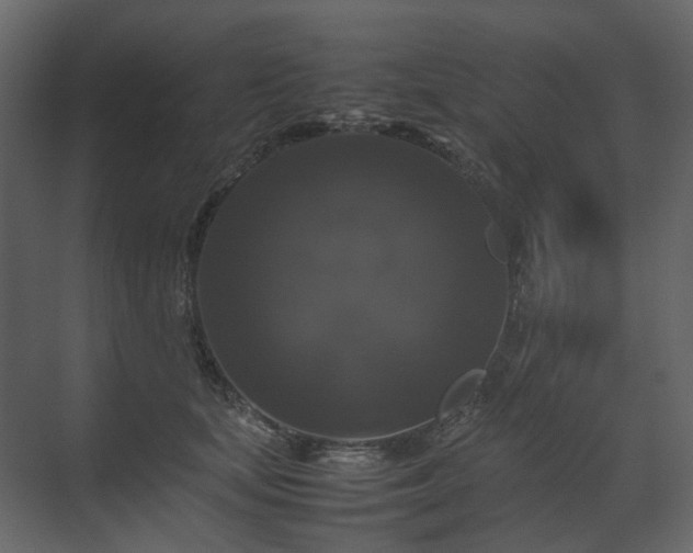 X0000070170659200605301327