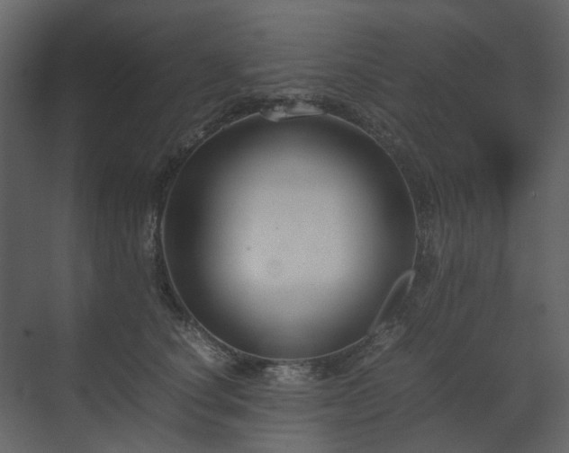 X0000070170660200605301327