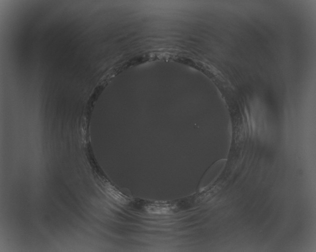 X0000070170661200605301327
