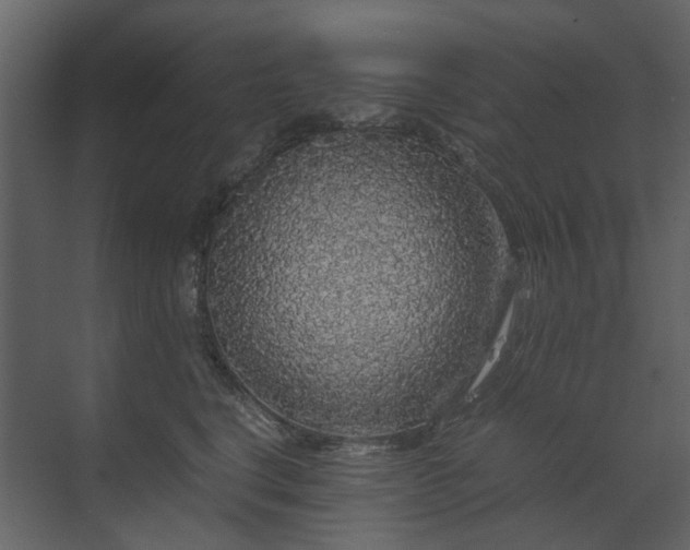 X0000070170664200605301327