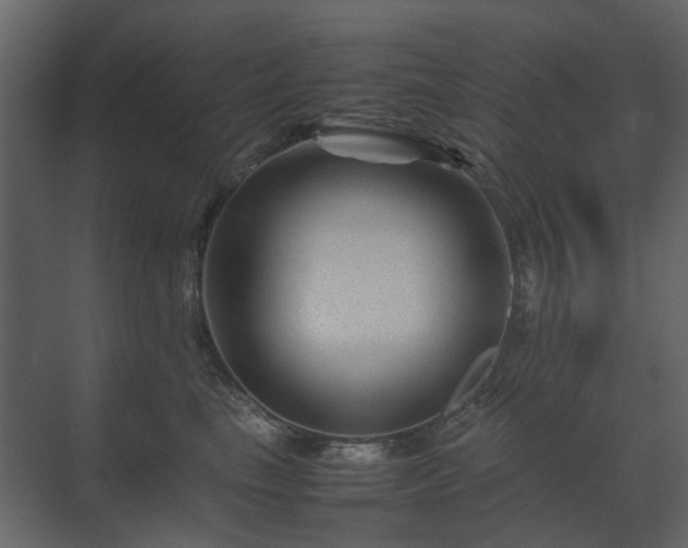 X0000070170665200605301327