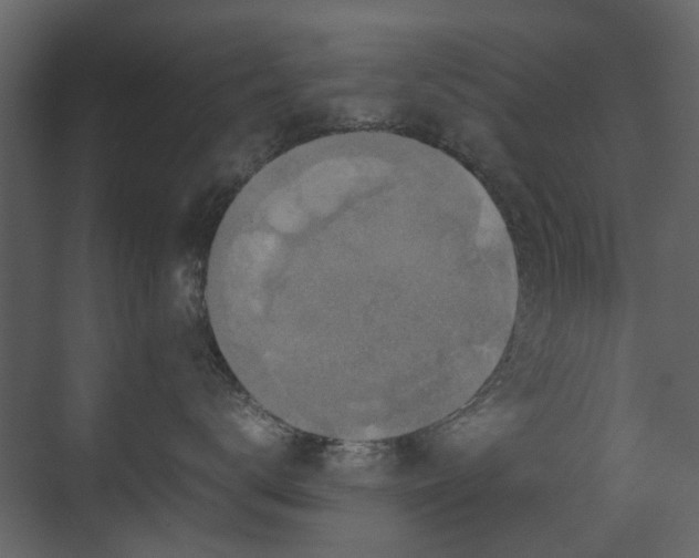 X0000070170672200605301327