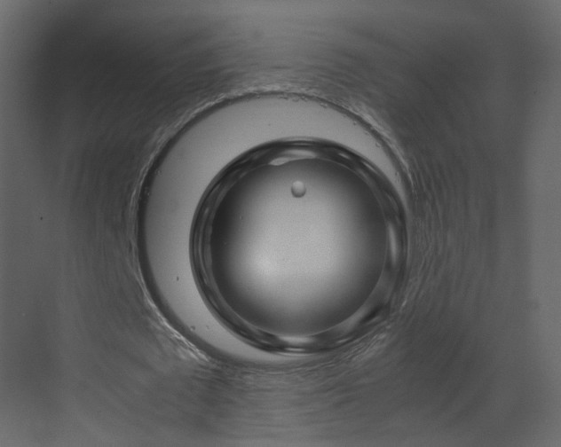 X0000070170673200605301326