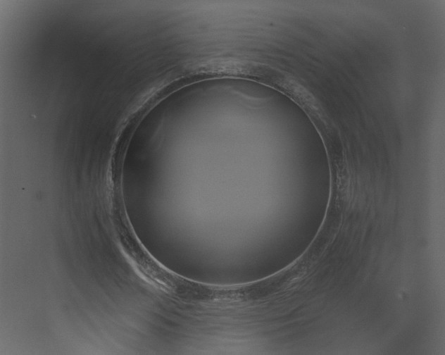 X0000070170674200605301326