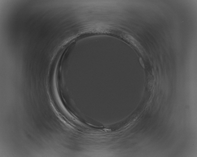 X0000070170677200605301326