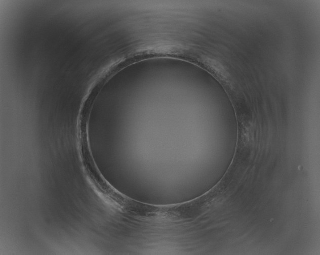 X0000070170678200605301326