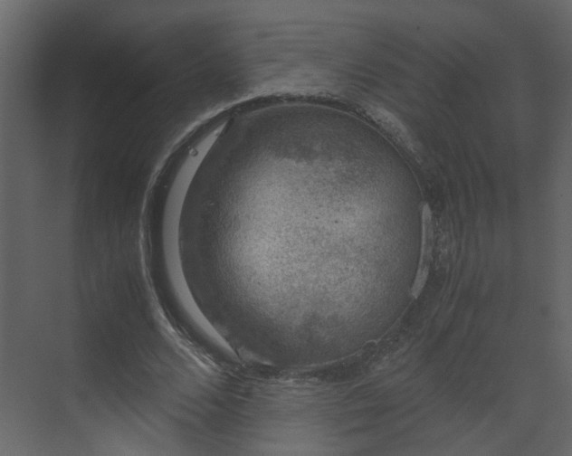 X0000070170680200605301326
