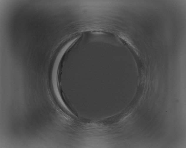 X0000070170681200605301326