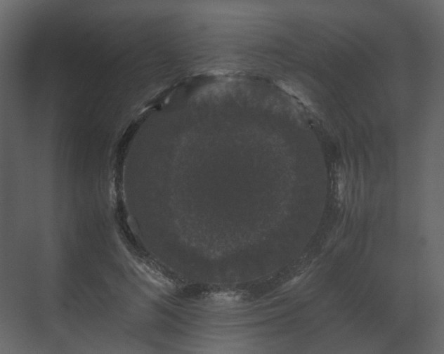 X0000070170692200605301326